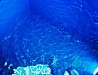 Люкс Морской